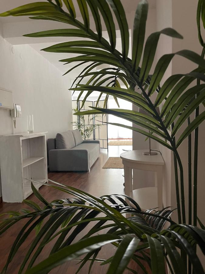 Irua Apartamentos ロンダ エクステリア 写真